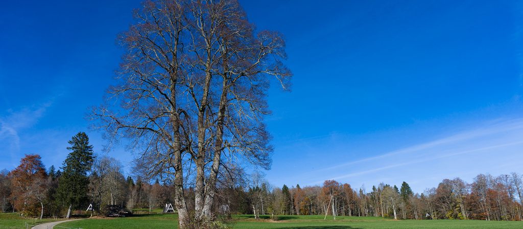 Subsides et réduction de primes LAMal dans le Jura