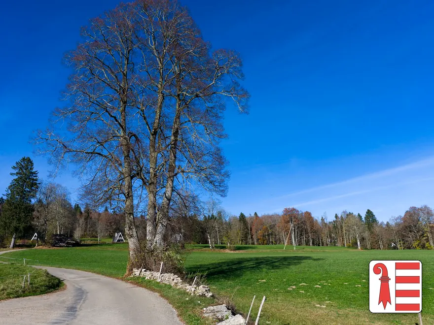 Paysage de campagne dans le canton du Jura